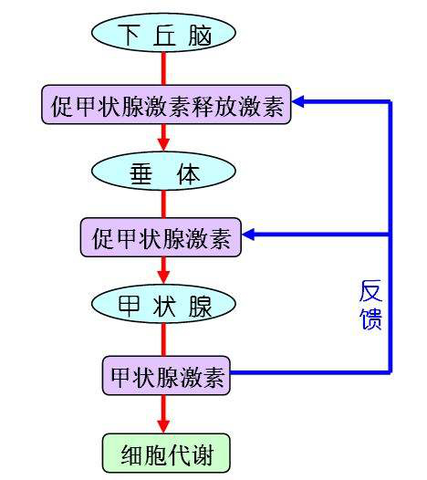 图片20.jpg